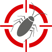 Container Fumigation