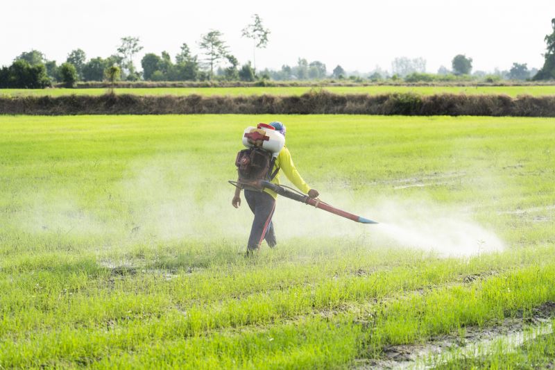 Container Fumigation