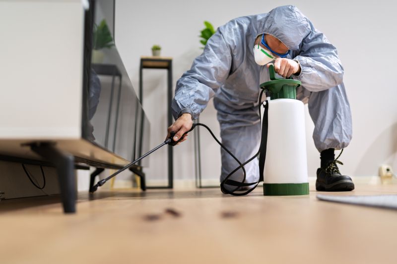 Fumigation Service in Katy, TX