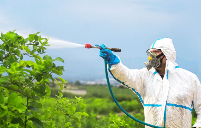 Pest Fumigation Service in Toledo, OH