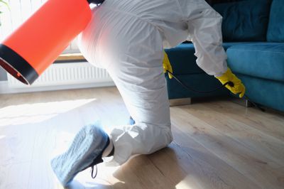 Residential Fumigation in Fort Collins, CO