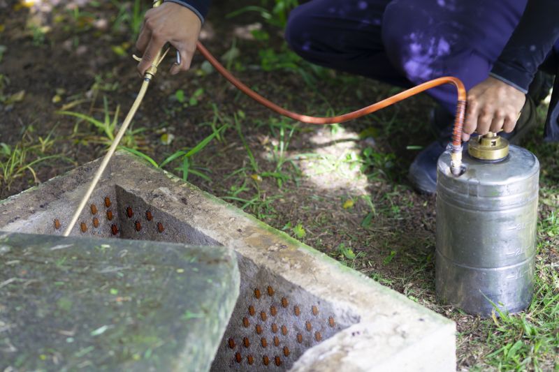 The Most Common Pests That Require Fumigation