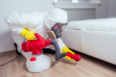 Types Of Pests That Require Fumigation Treatment