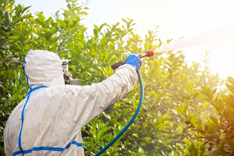 Fumigation Service in Davis County, UT
